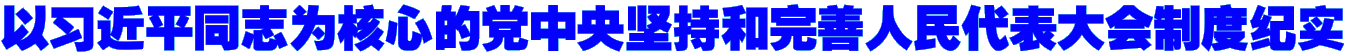 以习近平同志为核心的党中央坚持和完善人民代表大会制度纪实