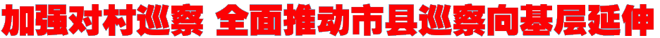 加强对村巡察 全面推动市县巡察向基层延伸