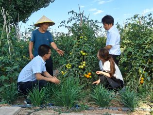 调查与研究丨以有力监督护航全面推进乡村振兴