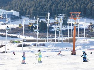 深度关注丨锦绣新春消费旺