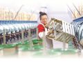 传统工艺与现代科技携手 古色古韵与新潮元素结合